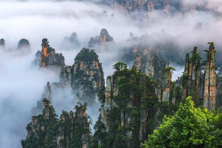 Zhangjiajie Fenghuang Tour - Tianzi mountain